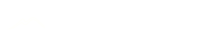 Logo della Cooperativa Sociale Delante che fornisce lo strumento di accessibilità digitale